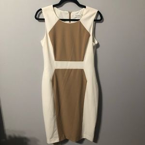 Calvin Klein Business Dress